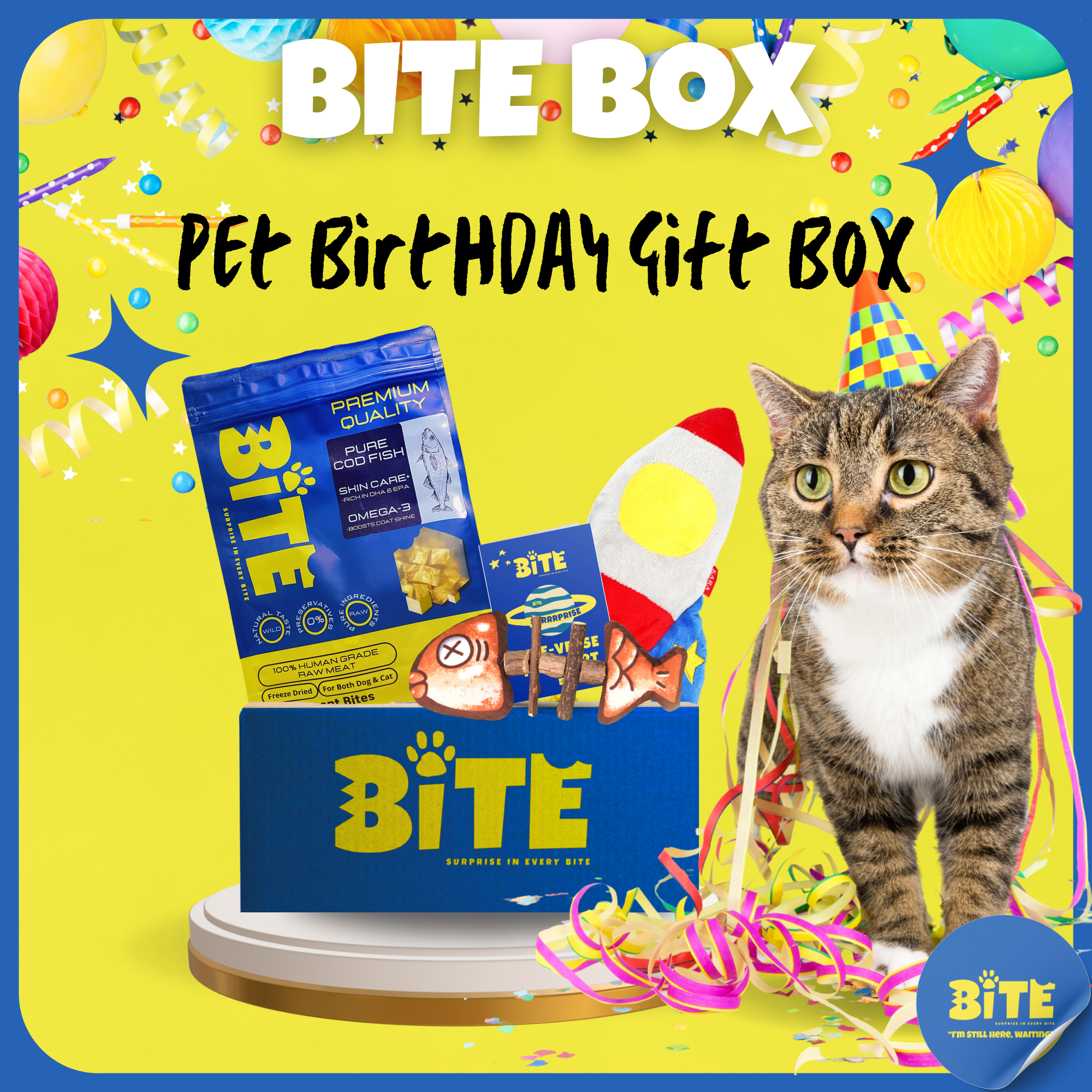 Bite Box Pet Birthday Gift Box with premium cod fish freeze-dried treats, birthday-themed toys, and Bite Passport – perfect birthday surprise for cats and dogs.