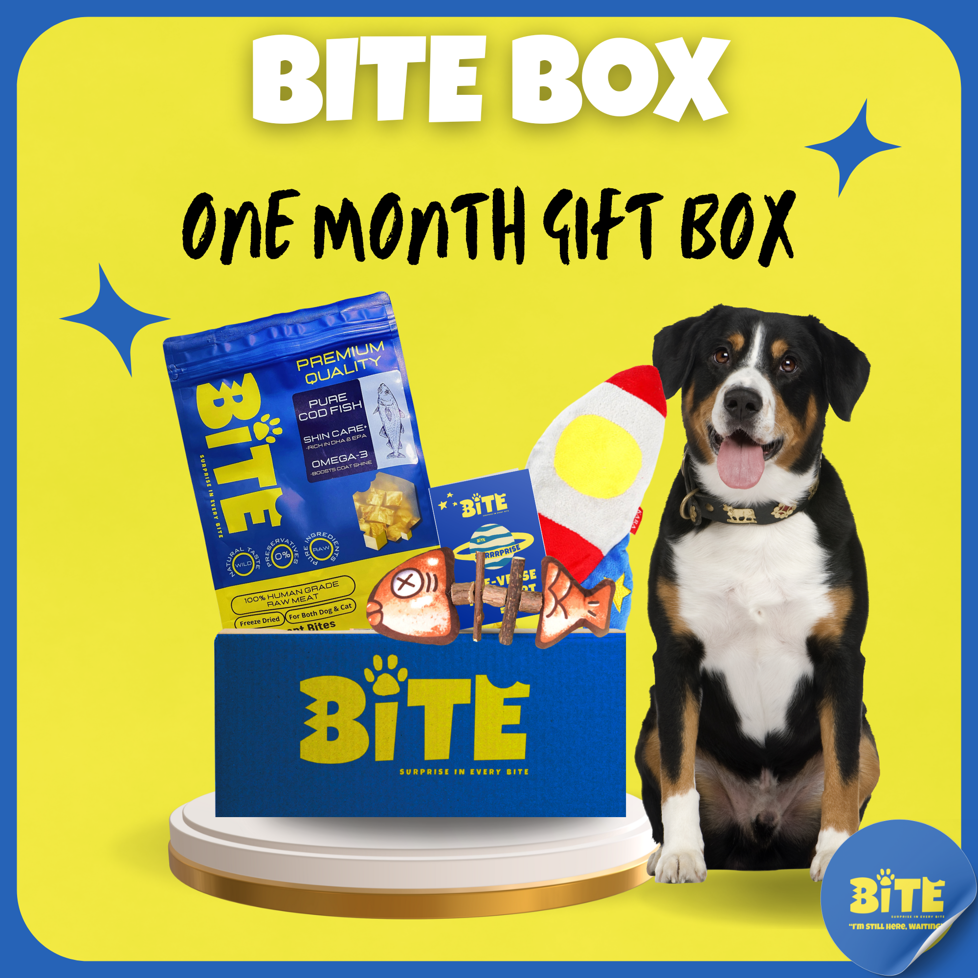 BITE Box One Month Gift Box for pets – includes freeze-dried treats, themed toys, and Bite Passport. Perfect gift for dogs and cats.