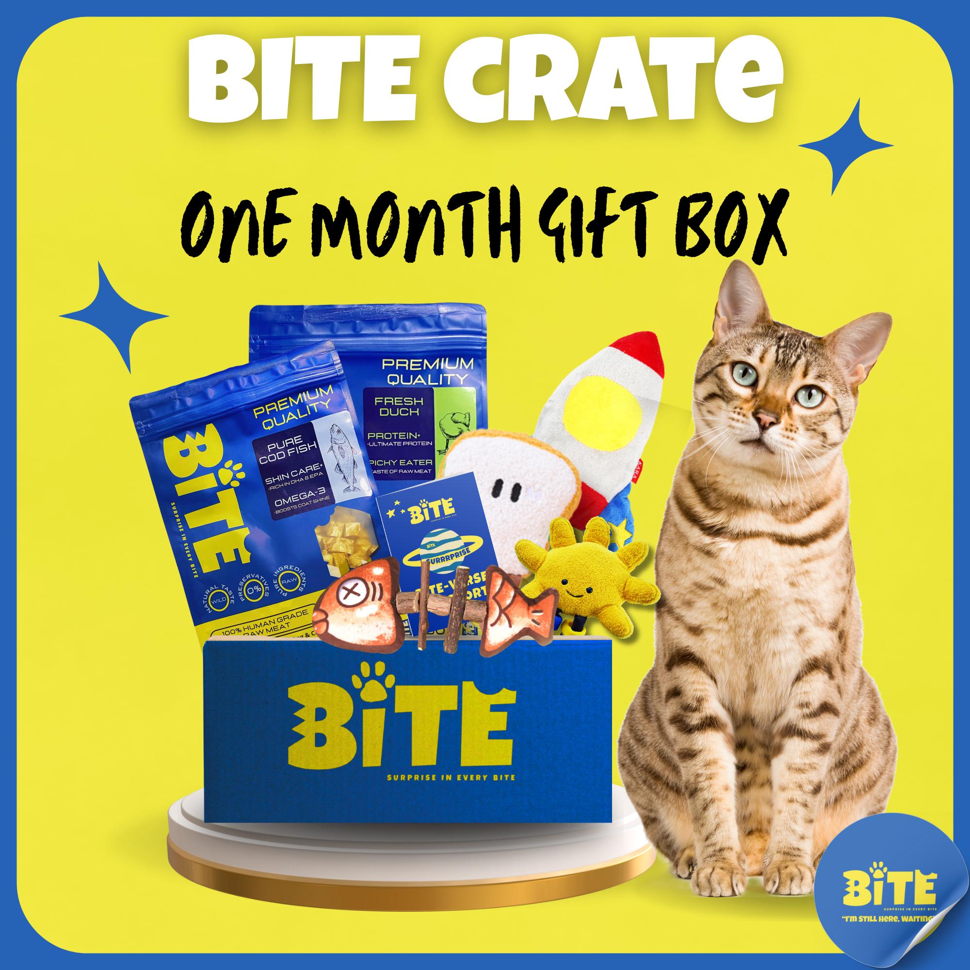 BITE Crate One Month Gift Box for cats – includes premium freeze-dried treats, themed toys, and Bite Passport. Healthy pet subscription box in Malaysia.