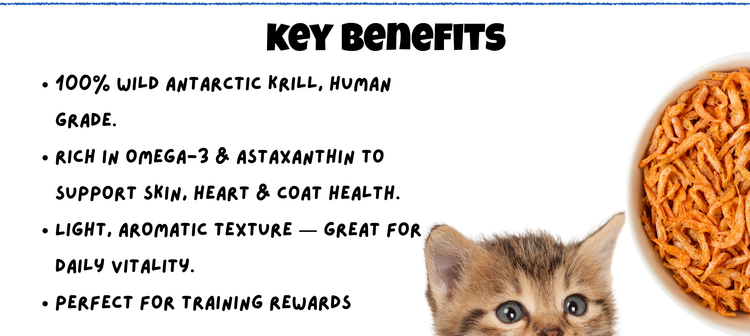 Benefits of Antarctic Krill Freeze Dried for Cats & Dogs Mobile