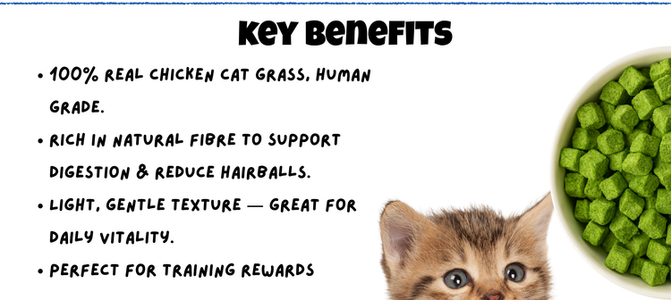 Benefits of Chicken Cat Grass Freeze Dried for Cats Mobile