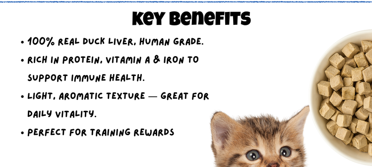  Benefits of Duck Liver Freeze Dried for Cats & Dogs Mobile