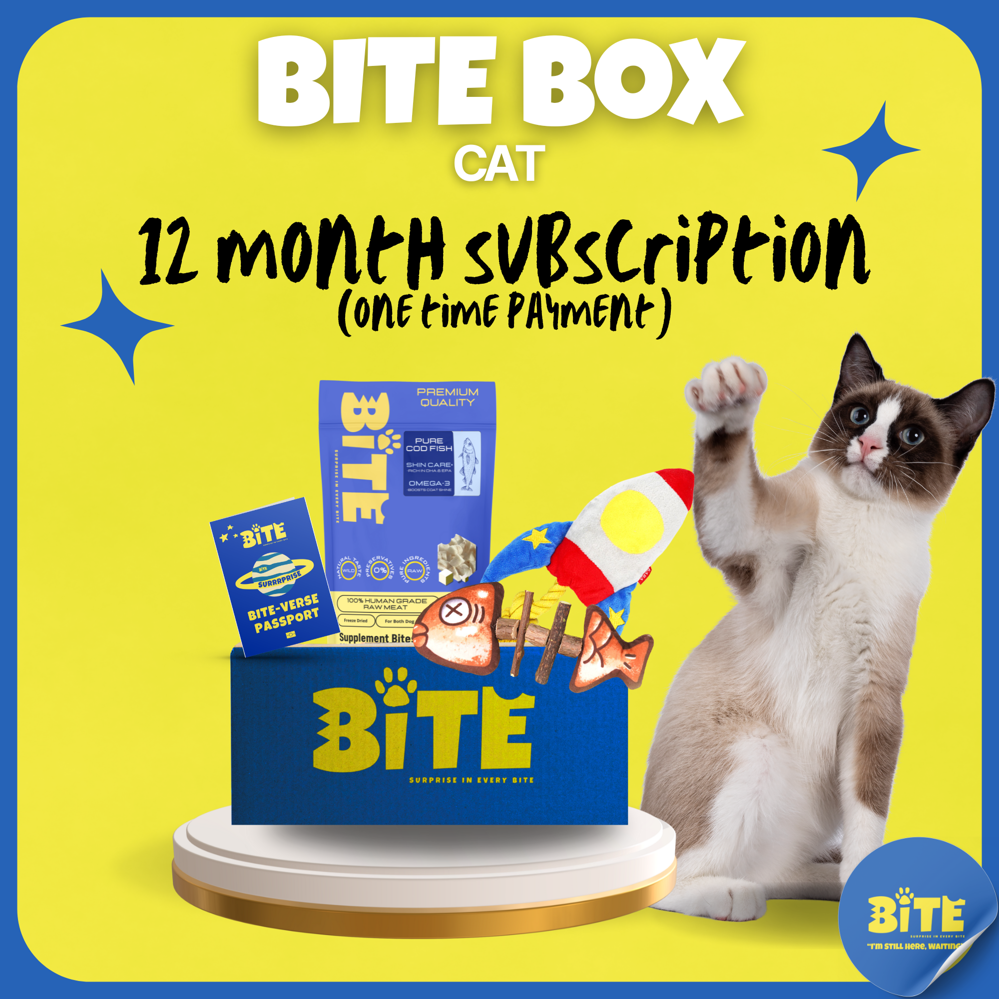 Bite Box Cat 12 month subscription (one time payment)