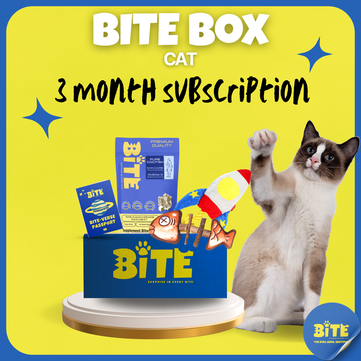 Bite Box Cat 3 month subscription
