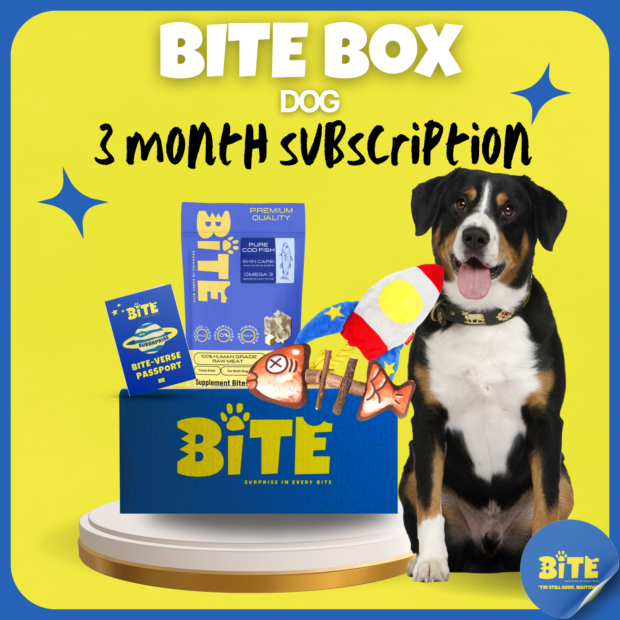  Bite Box Dog 3 Month Subscription