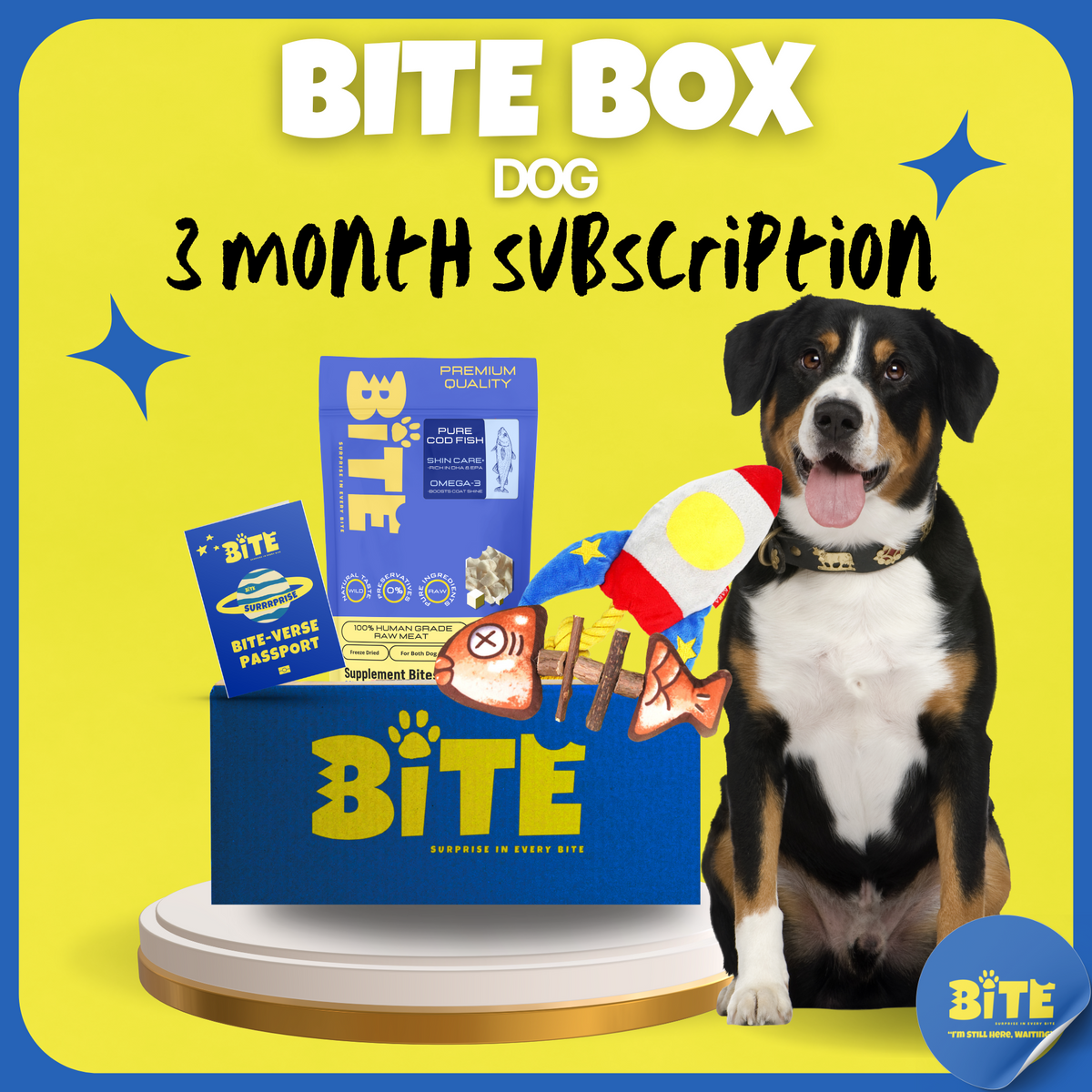  Bite Box Dog 3 Month Subscription
