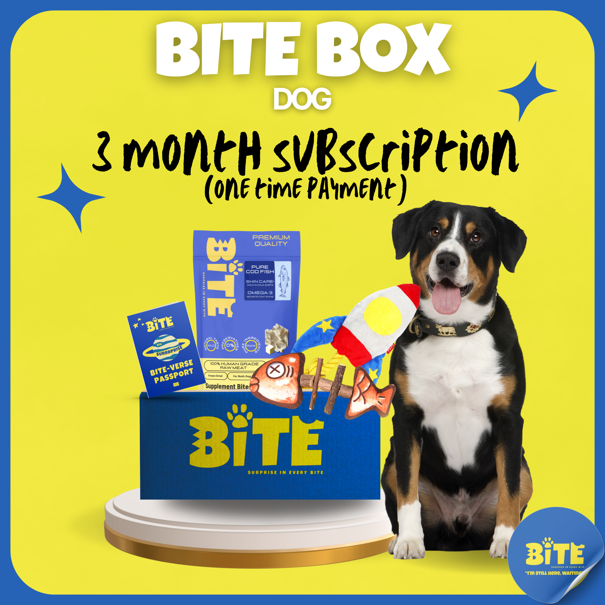 Bite Box Set Bite Box dog product with a dog on a yellow background