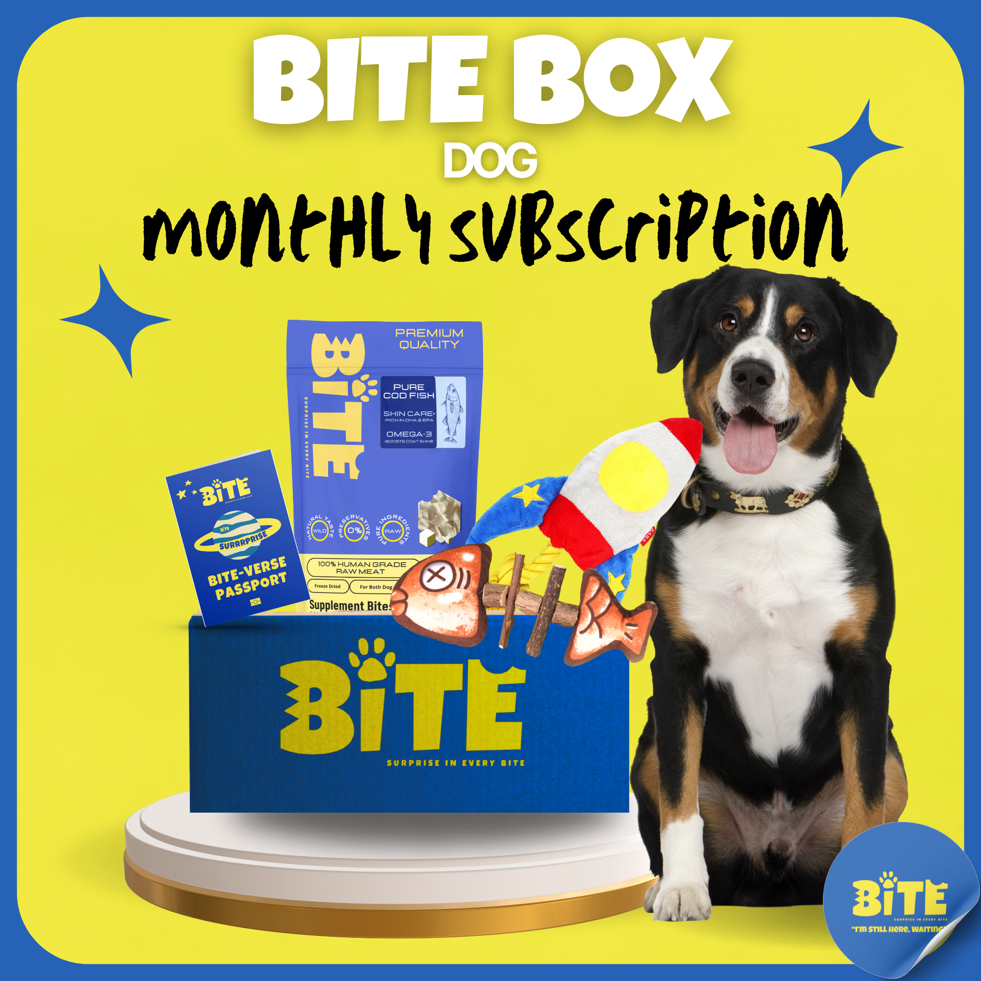 Bite Box Dog Monthly Subscription