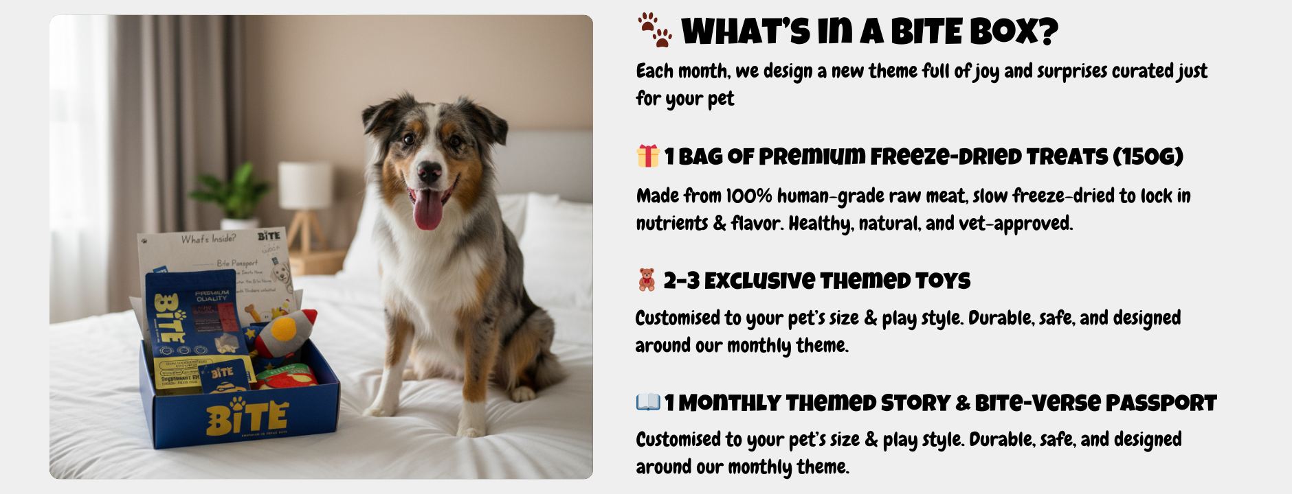 Bite Box Malaysia monthly subscription box for pets – includes freeze-dried treats, toys, and Bite Passport