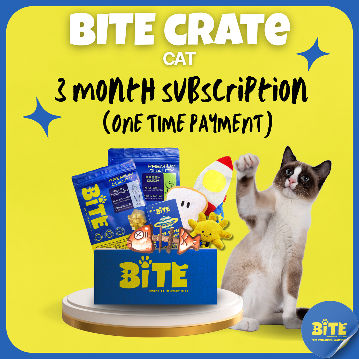 Bite Crate Cat 3 month subscription (one time payment)