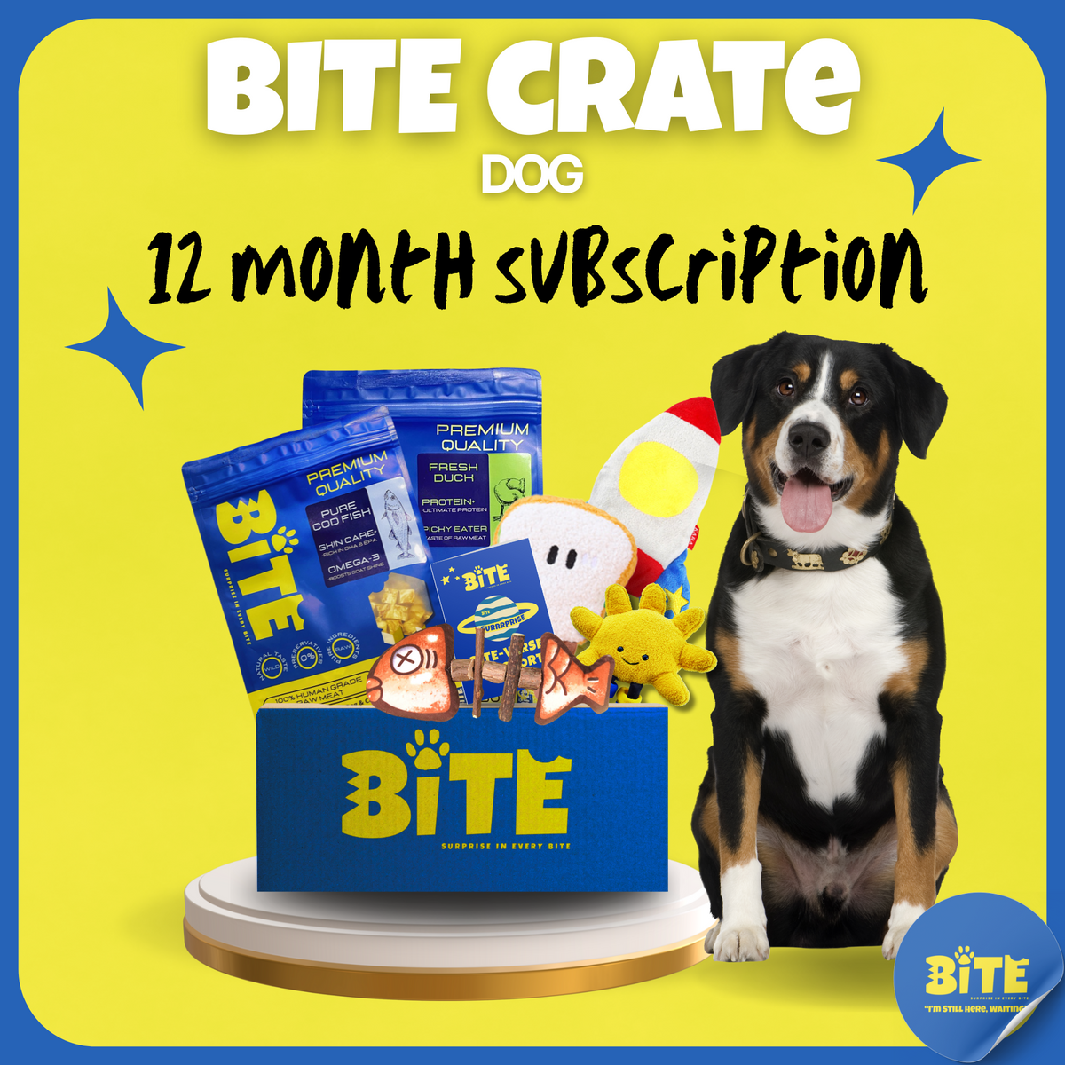 Bite_Crate_Dog_12_month_subscription