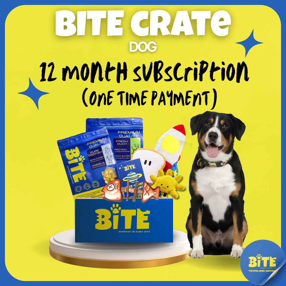 Bite_Crate_Dog_12_month_subscription_one_time_payment
