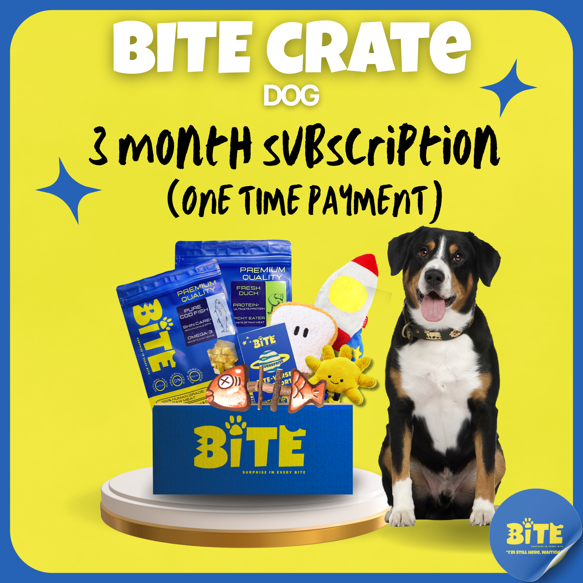 Bite_Crate_Dog_3_month_subscription_one_time_payment