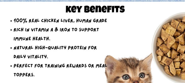 Chicken_Liver_Freeze_Dried_for_Cats_Dogs_Key_Benefits Mobile