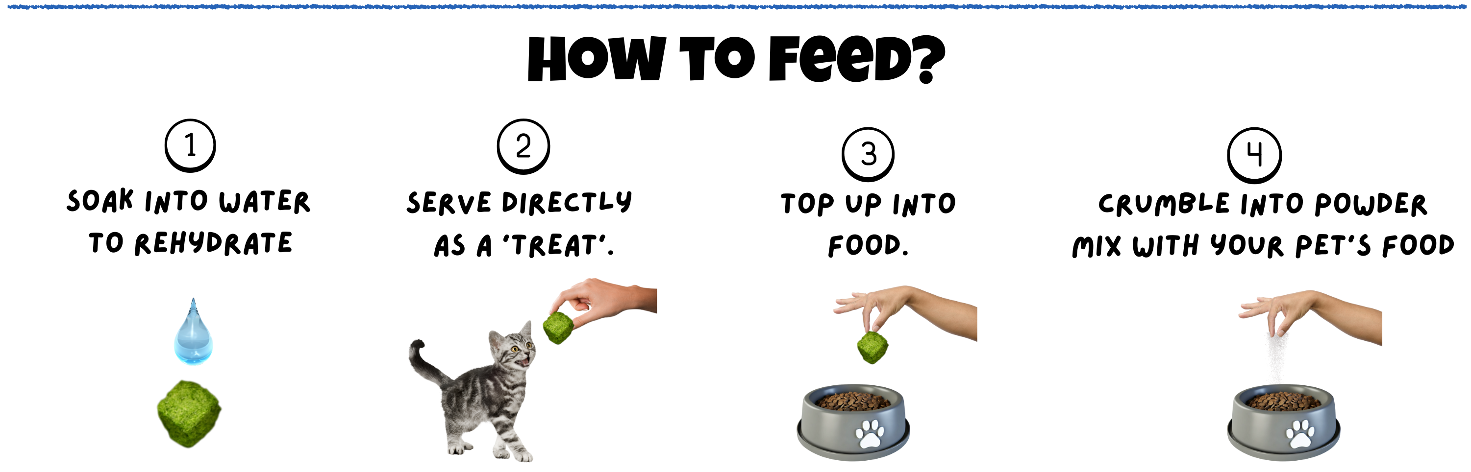 How to feed Chicken Cat Grass Freeze Dried for Cats