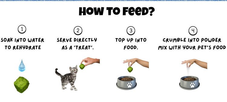 How to feed Chicken Cat Grass Freeze Dried for Cats Mobile