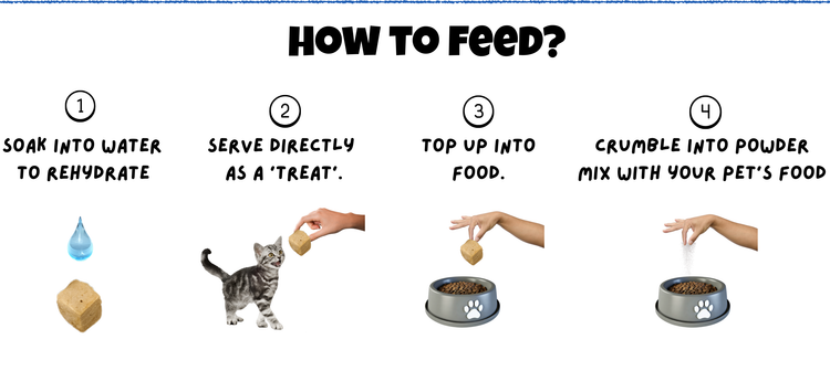 How to feed Duck Liver Freeze Dried for Cats & Dogs Mobile