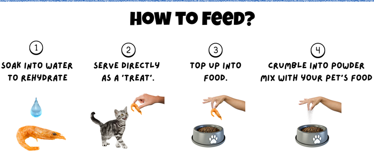  How to sell Antarctic Krill Freeze Dried for Cats & Dogs Mobile