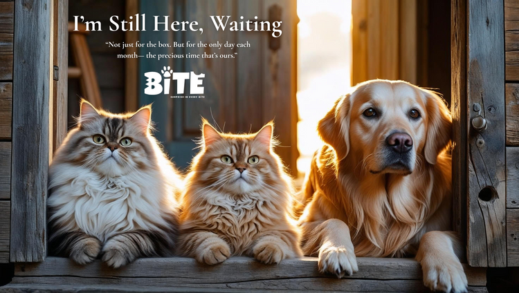 BiteBox September 2025 subscription theme – “I’m Still Here, Waiting.” Featuring a golden retriever and two fluffy cats sitting at a wooden doorway, symbolizing loyalty, emotional bonding, and the joy of monthly surprise pet boxes with high-protein treats and toys.