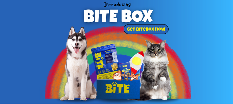 BiteBox pet subscription box introduction – premium monthly box for dogs and cats with freeze-dried high-protein treats, plush toys, and surprises. Featuring a happy husky dog and fluffy cat against a rainbow background, BiteBox delivers fun, health, and bonding for pets.