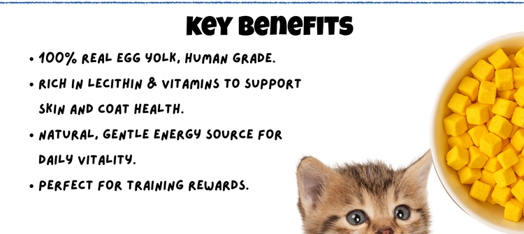 Key Benefits Egg Yolk Freeze Dried for Cats & Dogs Mobile