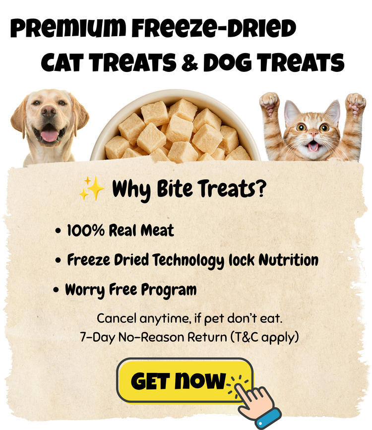 Premium Freeze-Dried Cat Treats & Dog Treats Malaysia 
