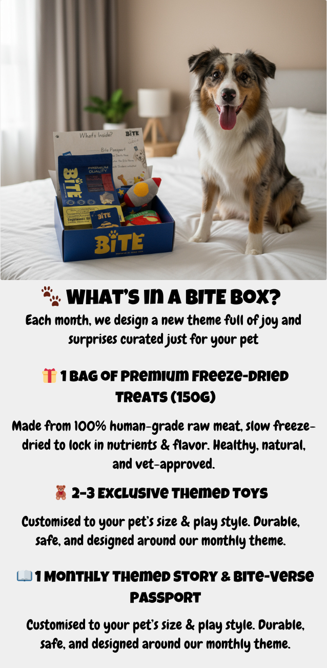 BITE box dog subscription box with 1 bags of premium freeze-dried treats and 2 to 4 themed toys. Monthly pet gift box in Malaysia with Bite Passport.