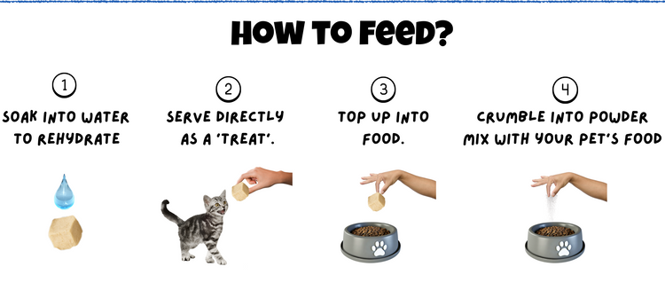 How to feed BITE Cod Fish Treats – soak, serve, mix, or crumble for pets
