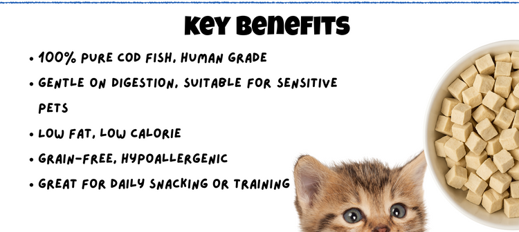 BITE Cod Fish Treats – 100% freeze-dried, healthy dog & cat snacks Malaysia
