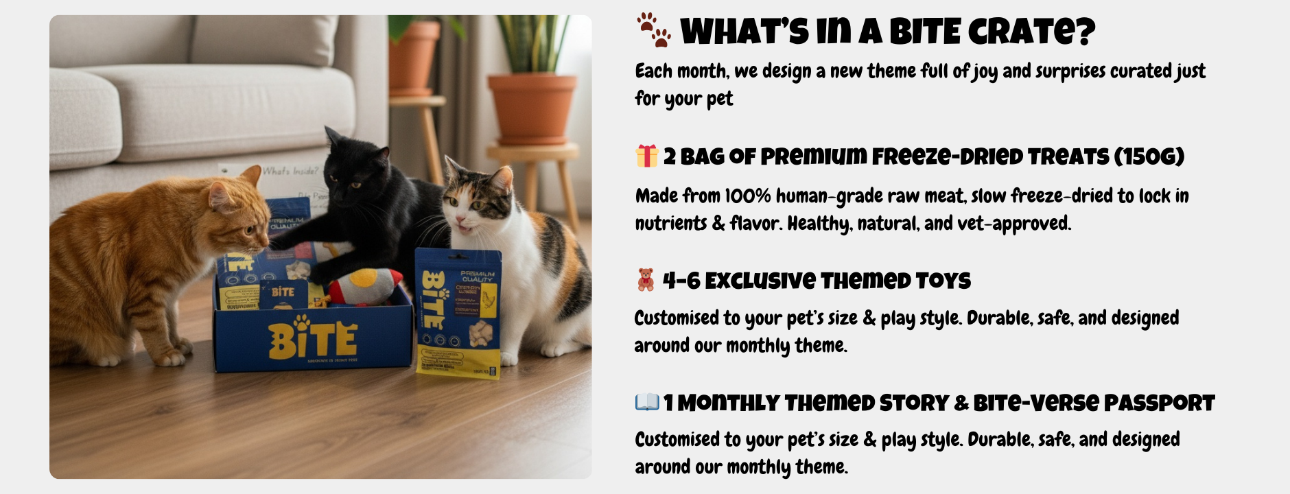 BITE Crate cat subscription box with 2 bags of premium freeze-dried treats and 4 to 6 themed toys. Monthly pet gift box in Malaysia with Bite Passport.