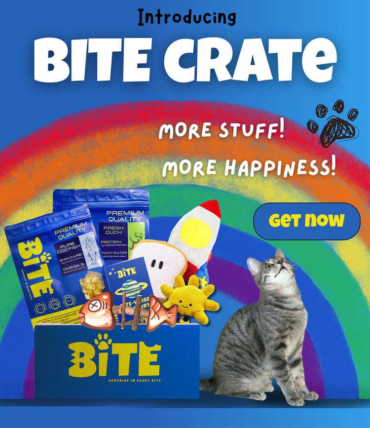 BITE Crate Mobile View – Pet Subscription Box Malaysia with Toys and Freeze-Dried Treats for Cats and Dogs