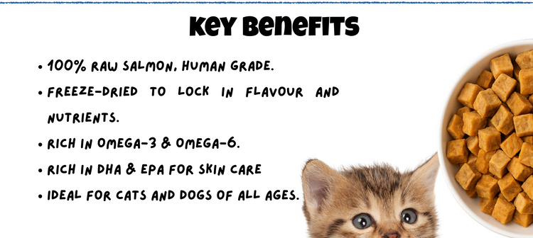 BITE Raw Salmon Freeze-Dried Pet Treats – 100% human grade, rich in Omega-3 and Omega-6, DHA & EPA for skin care, healthy for cats and dogs of all ages