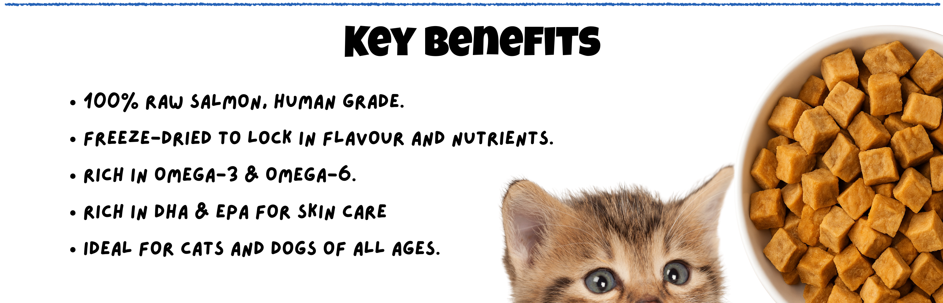 BITE Raw Salmon Freeze-Dried Pet Treats – Human grade, rich in Omega-3 & Omega-6, DHA & EPA for skin and coat care, ideal for cats and dogs