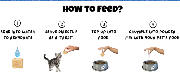 BITE Treats Malaysia – Mobile How to Feed Freeze-Dried Chicken Cubes Pet Treats Four Ways to Serve
