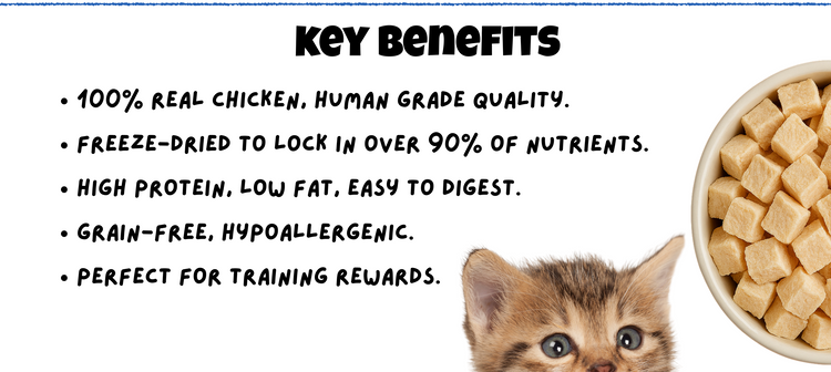 BITE Treats Malaysia – Key Benefits Mobile View Freeze-Dried Chicken Cubes Pet Treats High Protein Grain Free