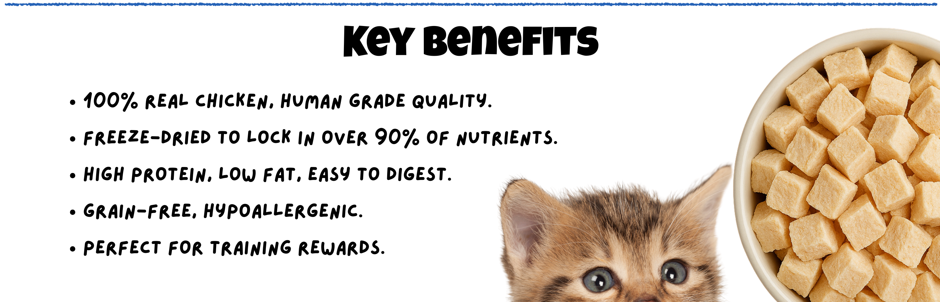 BITE Treats Malaysia – Key Benefits of Freeze-Dried Chicken Cubes Pet Treats High Protein Grain Free Hypoallergenic