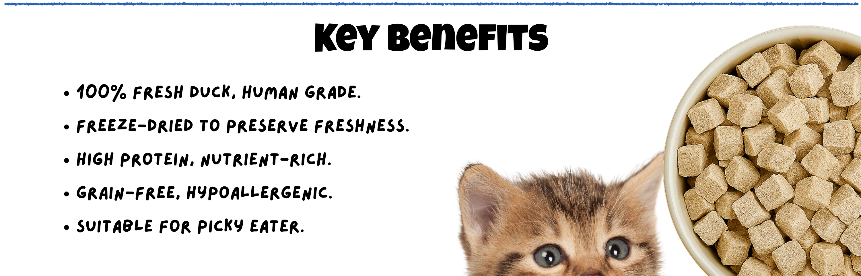 BITE Treats Freeze-Dried Fresh Duck Pet Snacks Malaysia – High Protein, Grain-Free, Hypoallergenic, Suitable for Picky Eaters