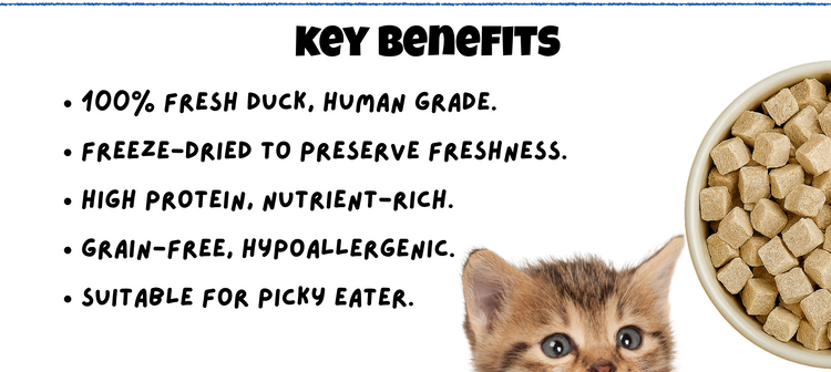 BITE Treats Fresh Duck Freeze-Dried Pet Treats Mobile View – High Protein, Grain-Free, Hypoallergenic, Perfect for Picky Eaters