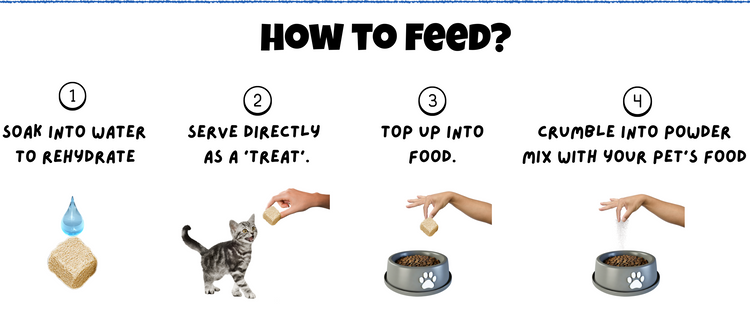 How to feed BITE Freeze-Dried Pet Treats Mobile – 4 ways: soak in water, serve as treat, top up food, crumble into powder