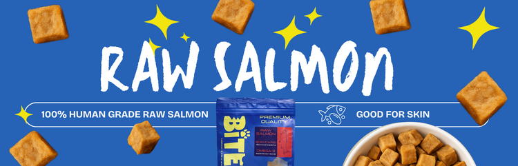 BITE Treats Raw Salmon – 100% human grade freeze-dried salmon for dogs and cats, rich in Omega-3 for skin and coat health