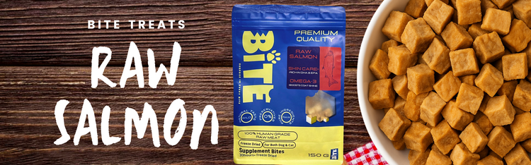 BITE Freeze-Dried Raw Salmon Pet Treats – rich in Omega-3, DHA & EPA for coat shine, 100% natural dog and cat snacks
