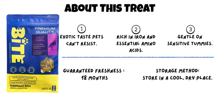 Wild Quail Freeze-Dried Pet Treats – rich in iron, gentle on sensitive stomachs, exotic taste dogs and cats enjoy
