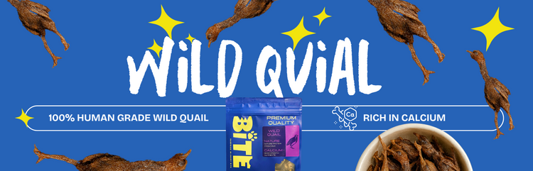 BITE Wild Quail Freeze-Dried Treats for dogs and cats – 100% human grade, rich in calcium, healthy protein snacks.
