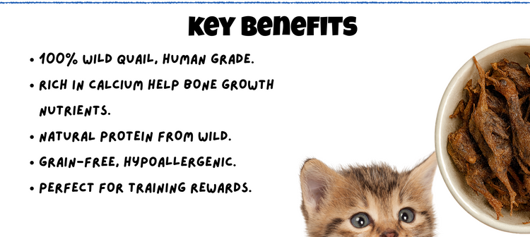 Wild Quail Pet Treats – calcium-rich, grain-free, hypoallergenic, natural protein, perfect healthy rewards for dogs and cats
