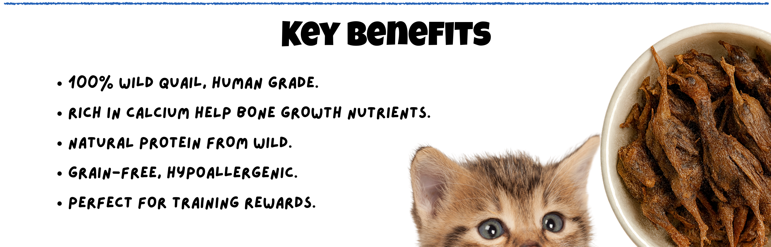 BITE Wild Quail Freeze-Dried Treats – human grade, calcium rich for bone health, grain-free, hypoallergenic, perfect for dog and cat training rewards.

