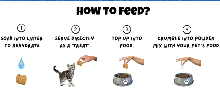 how_to_feed_Chicken_Liver_Freeze_Dried_for_Cats_Dogs Mobile